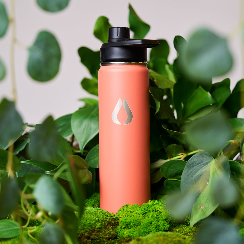 Wasserflasche - 650ML - Pfirsich